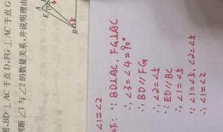 杨老师在线小学数学