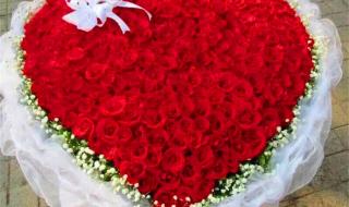 情人节图片玫瑰花